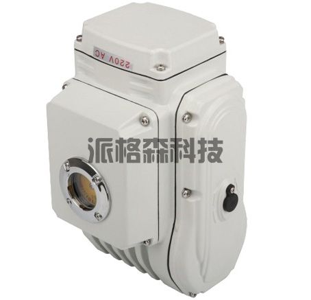 电动阀门**型电动执行器 PZ-30 (图1)