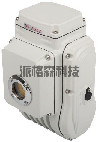  电动阀门**型电动执行器 PZ-125(图1)
